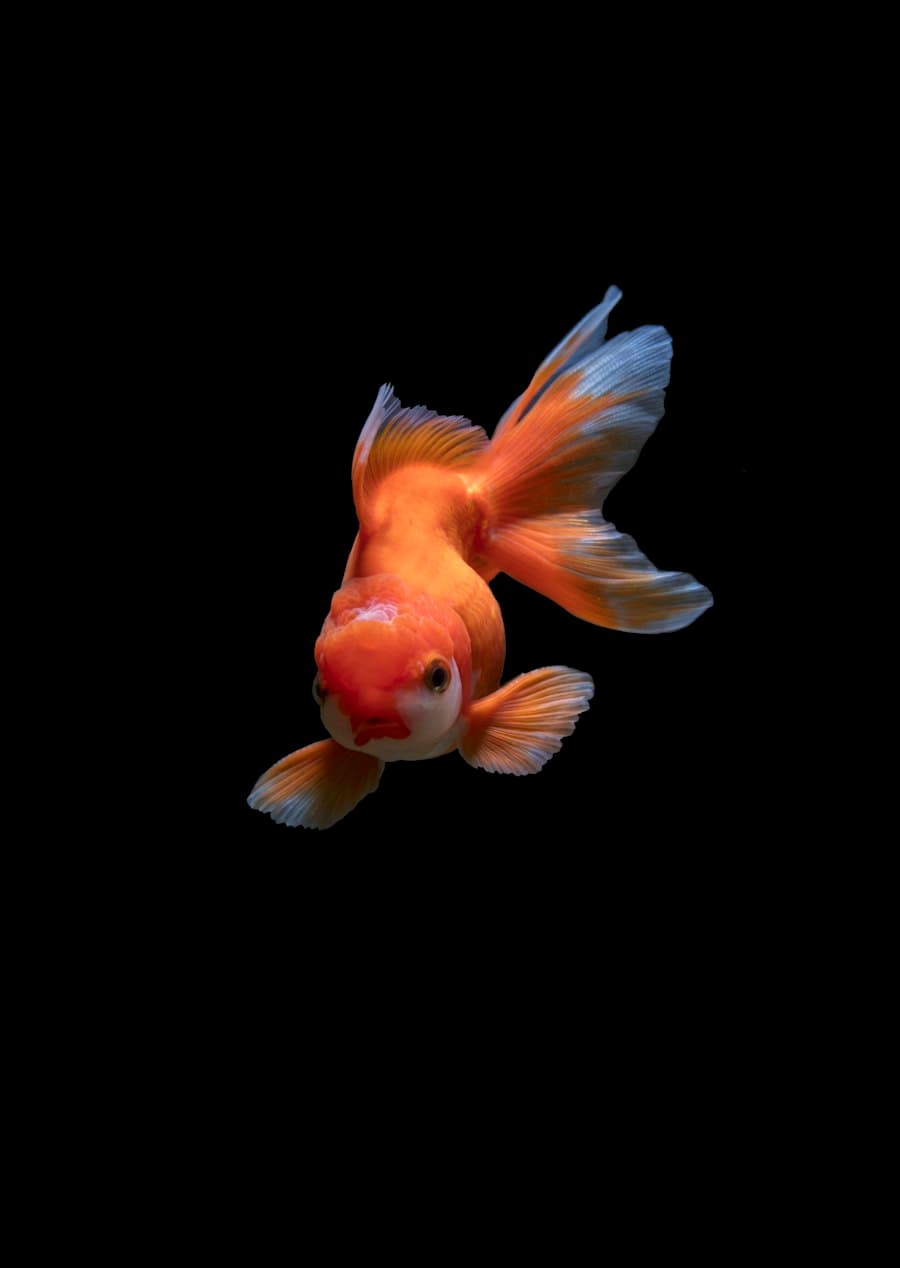Floating Aqua-Grow Pellets