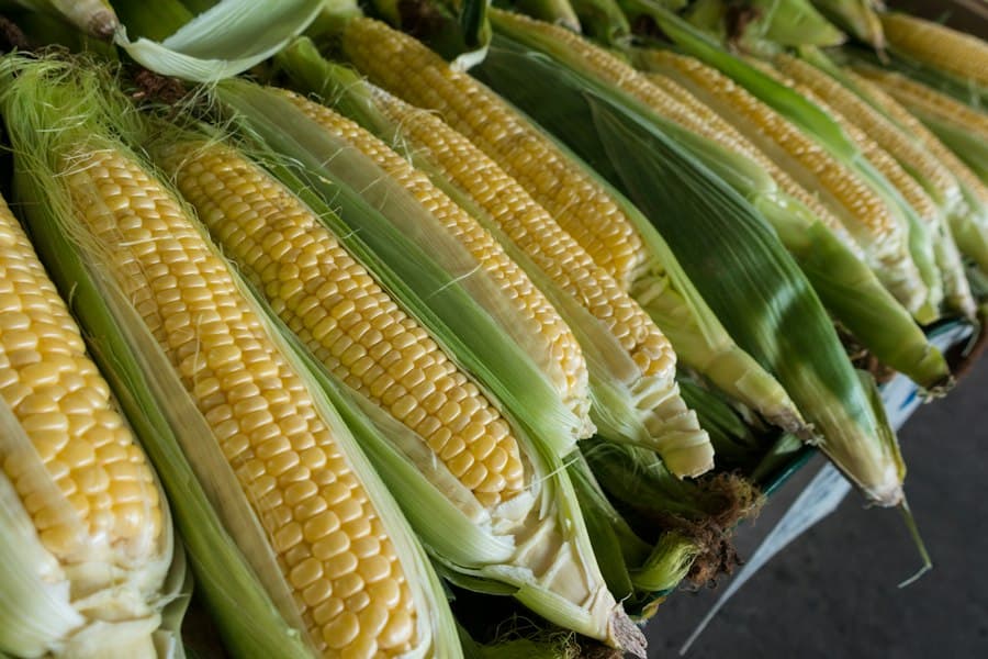 Sifted Maize Meal